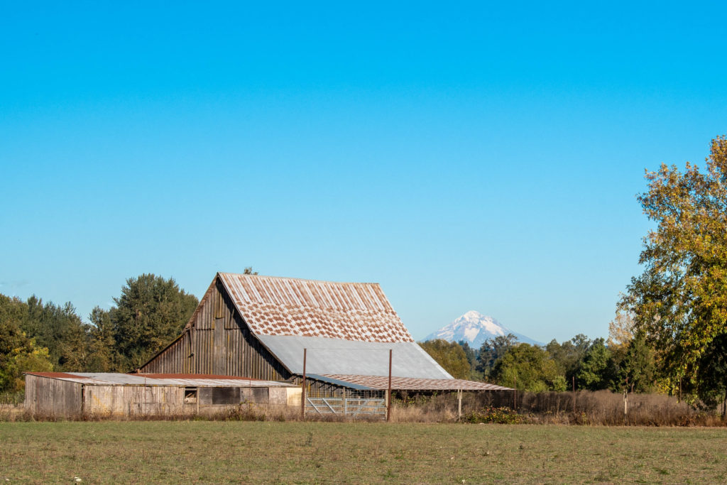 Barn and Mt. Hood