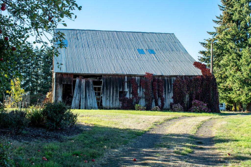 Side of barn