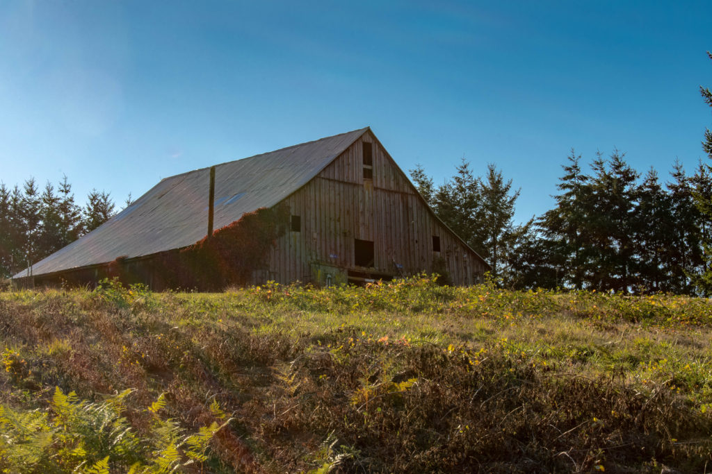 Rear of barn