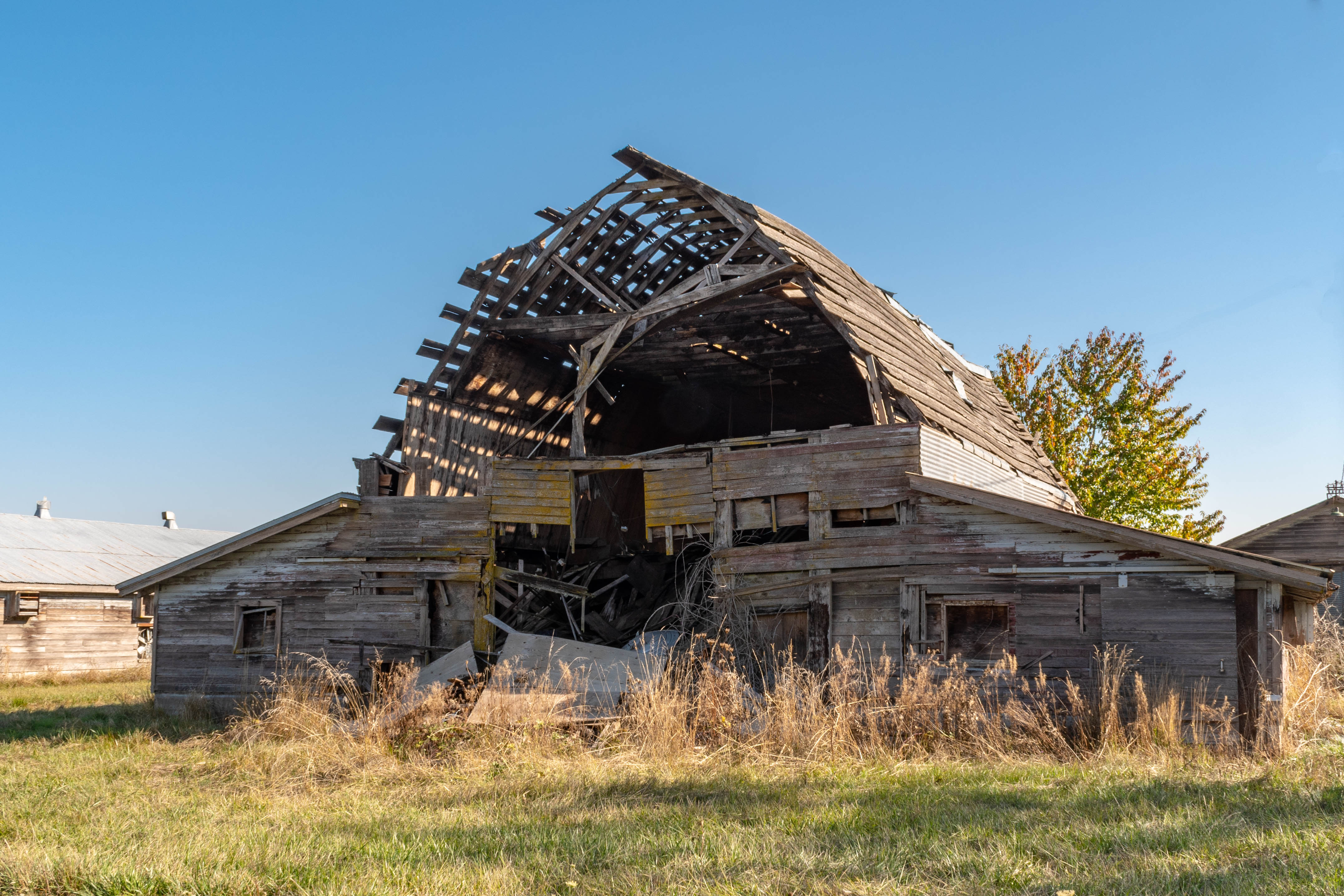 The barn in all its dilapidated glory.