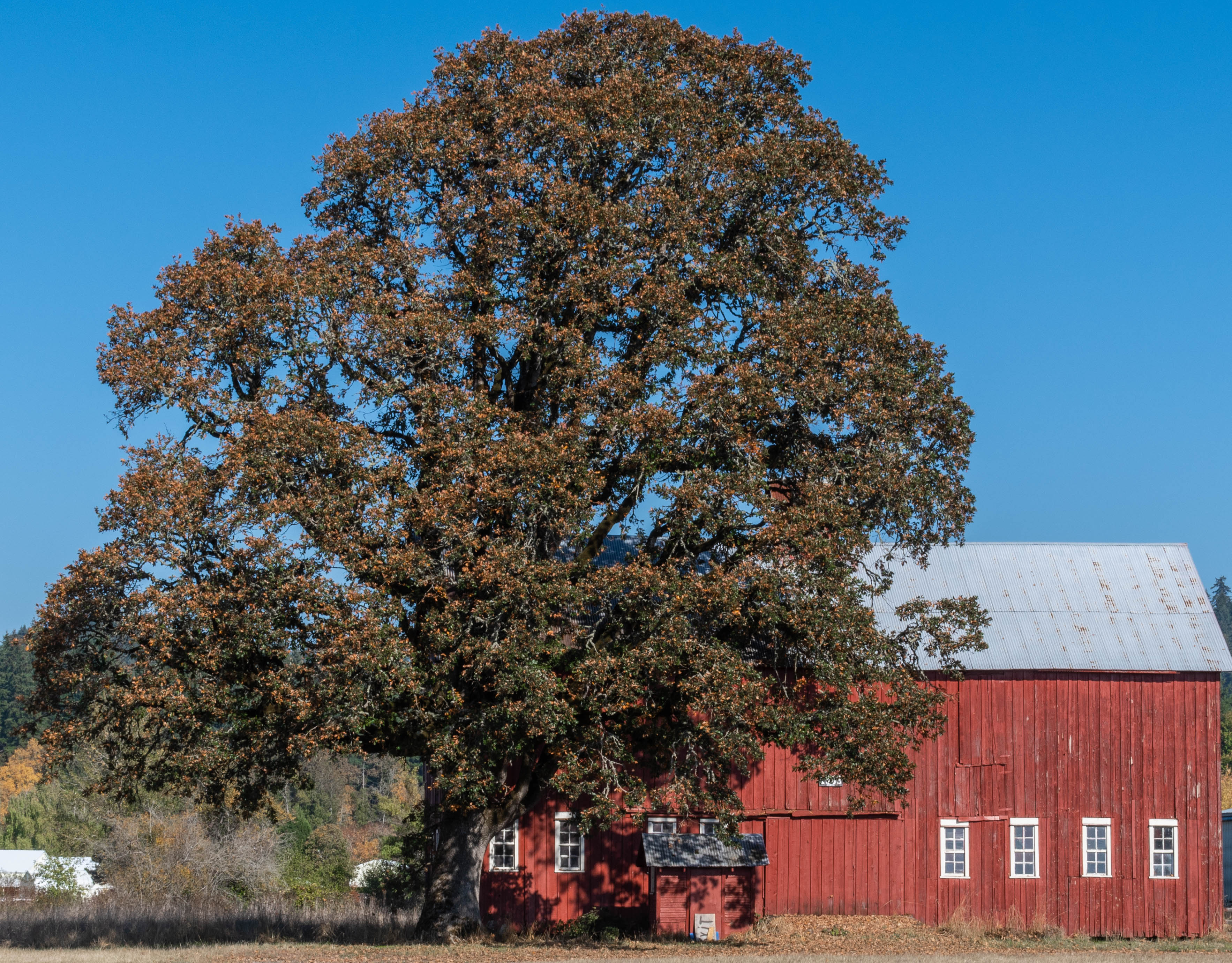 Glover Barn today.