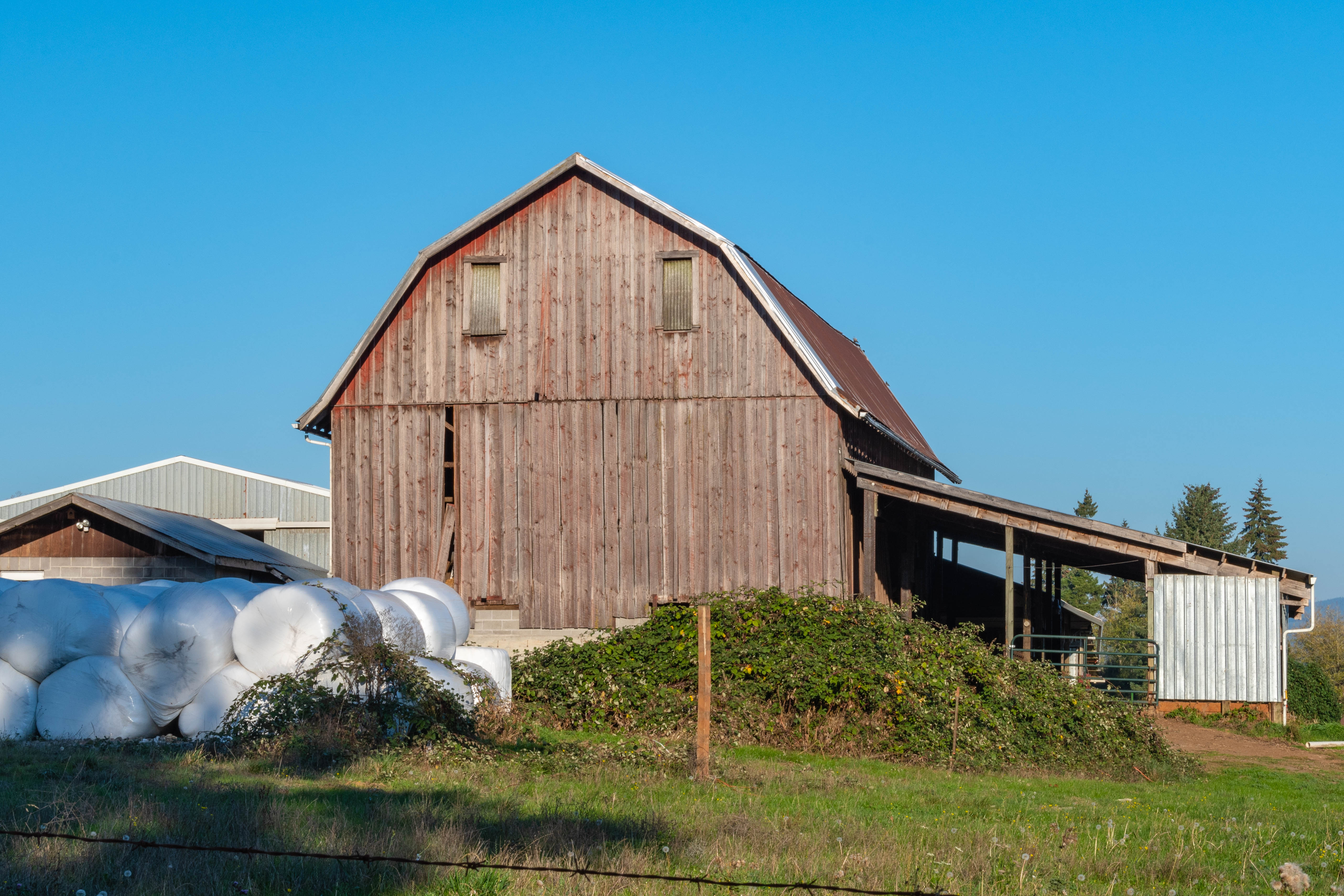 Barn and baled hay.