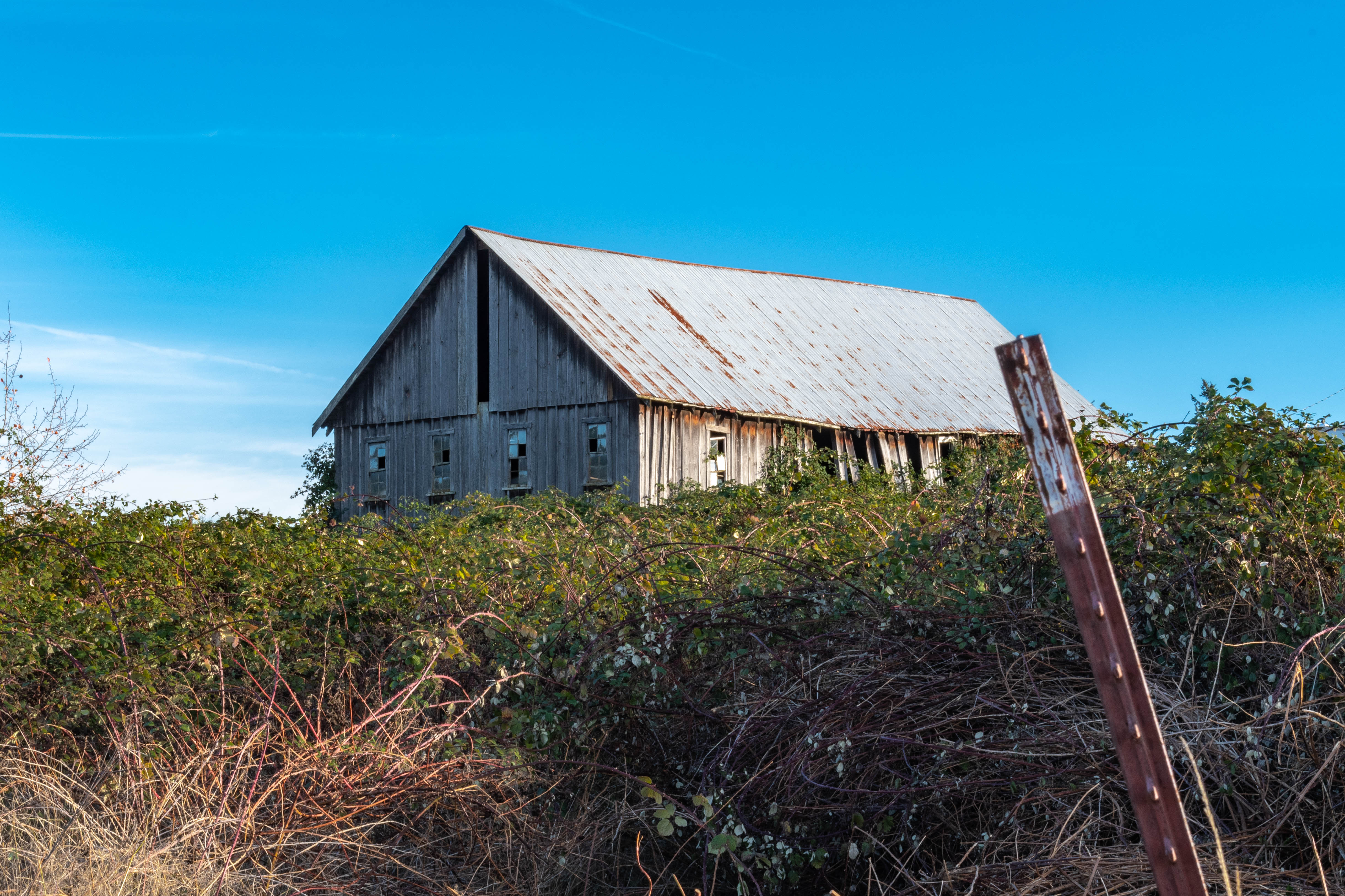 The prune dryer barn today.