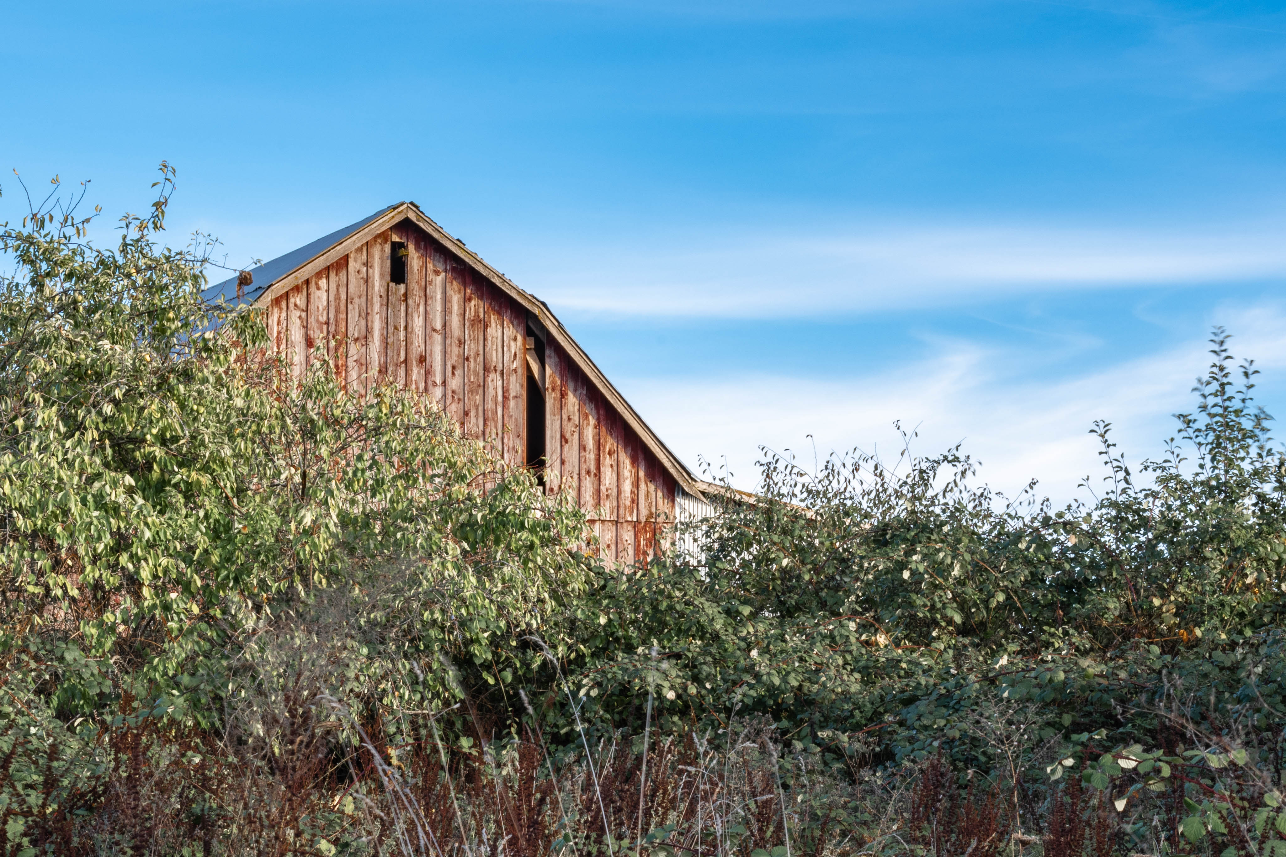 Another barn on the property.