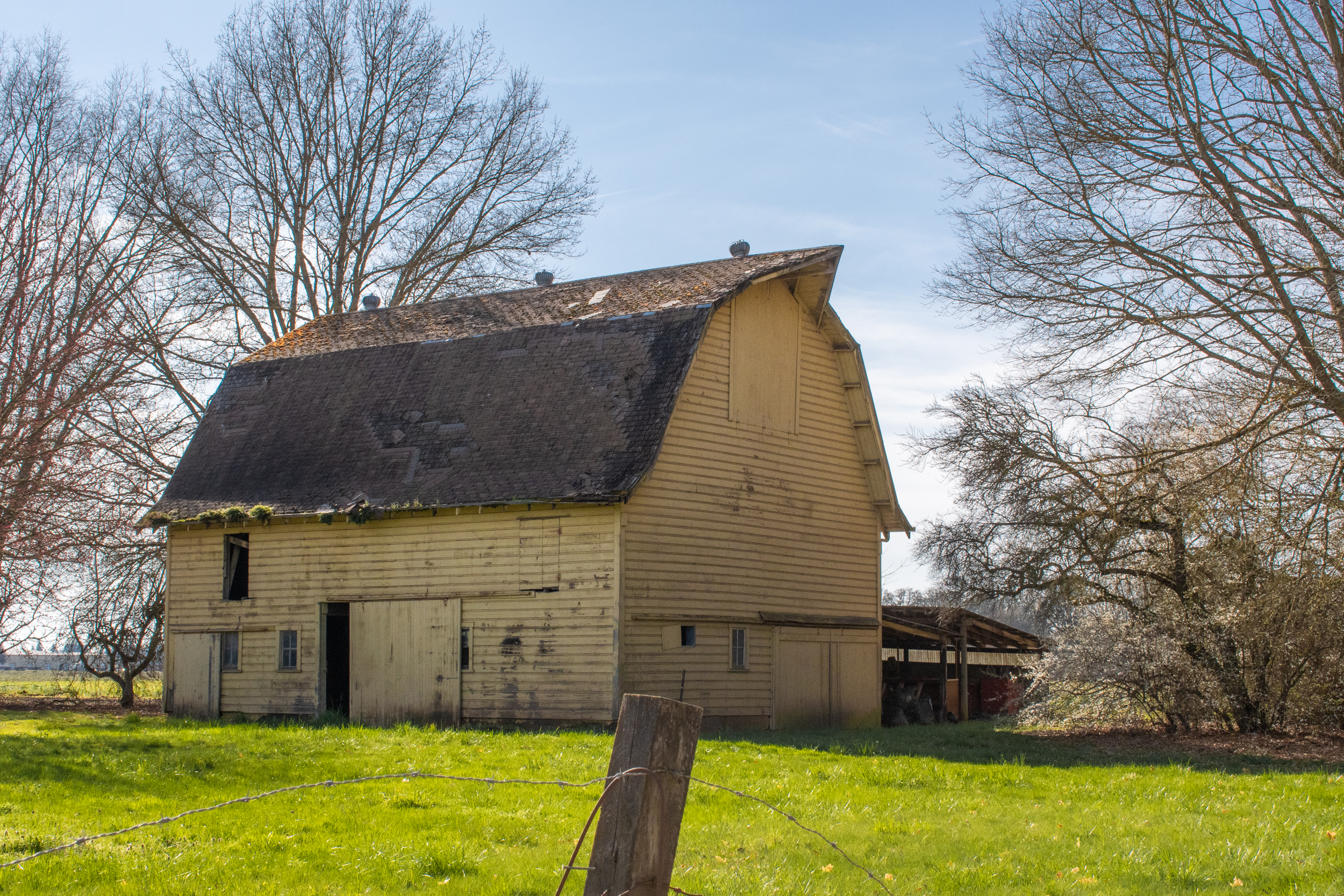 Yellow barn