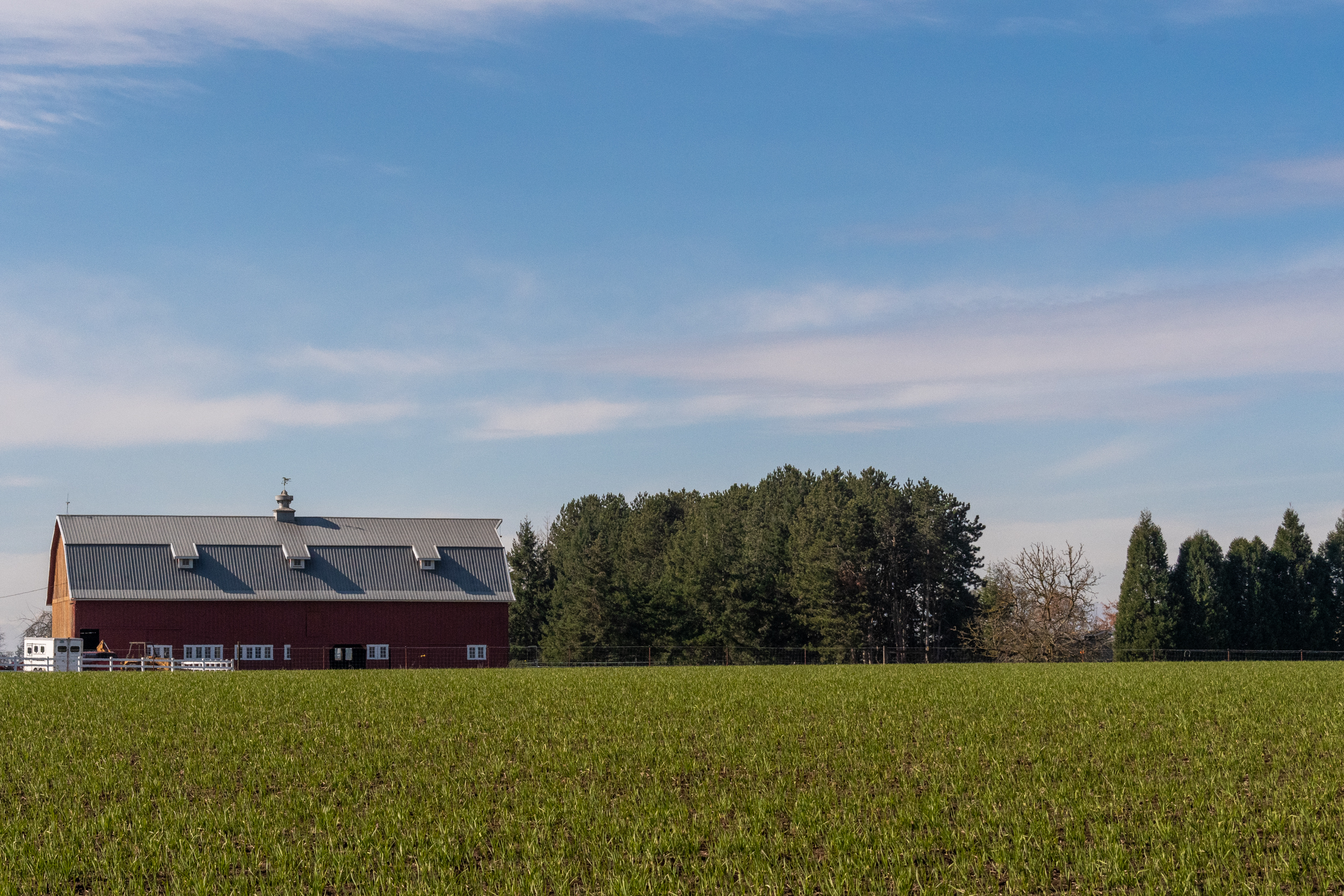 This large red barn is visible in the distance from Needy Rd. 